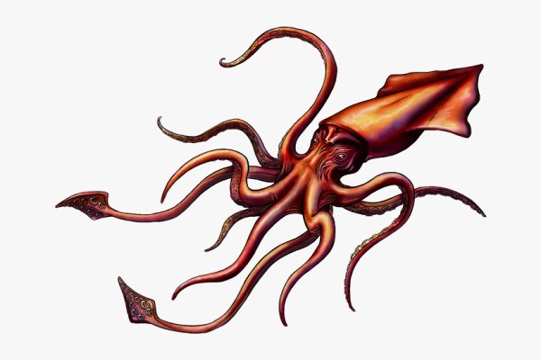 Kraken darknet marketplace