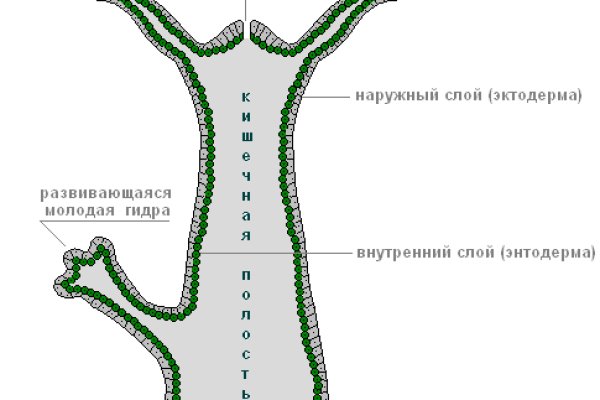 Как перейти на кракен