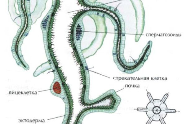 Кракен сайт kr2web in официальный ссылка