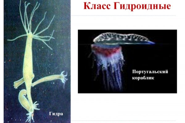 Кракен даркен